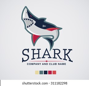 Shark logo sport extreme and business.