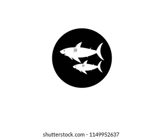 Shark Logo Template