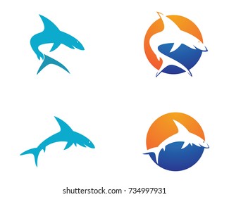 Shark Logo Template