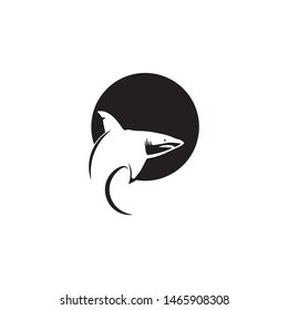 Shark Logo Template and design vector fish wild sea animal
