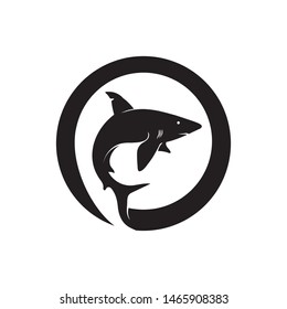 Shark Logo Template and design vector fish wild sea animal
