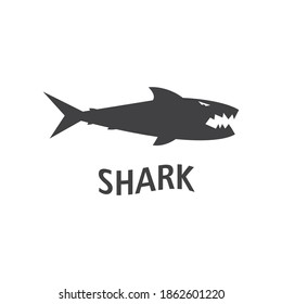 Shark logo template vector flat design