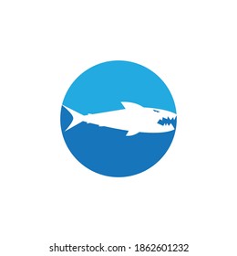 Shark logo template vector flat design