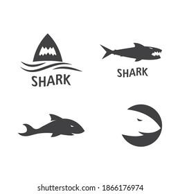 Shark logo template vector flat design