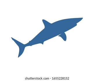 Shark logo vector design template, Silhouette Shark logo, Illustration
