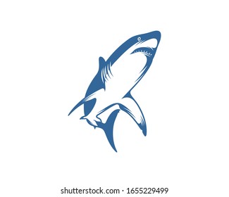 Shark logo vector design template, Silhouette Shark logo, Illustration