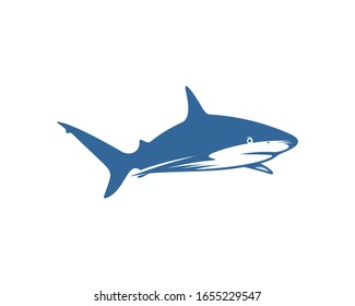Shark logo vector design template, Silhouette Shark logo, Illustration
