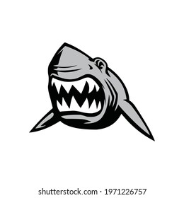 10,929 White shark logo Images, Stock Photos & Vectors | Shutterstock