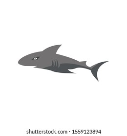 shark logo vector illustration. black shark logo icon.