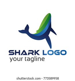 Shark logo.  Vector Illustration on white background. Flat design. 
