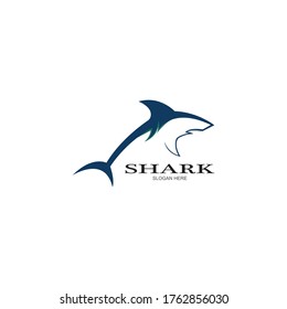 Shark Logo vector Template illustration design