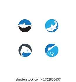 Shark Logo vector Template illustration design