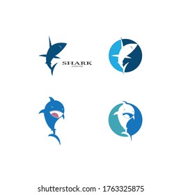Diseño de la ilustración de la plantilla del vector del logotipo del tiburón