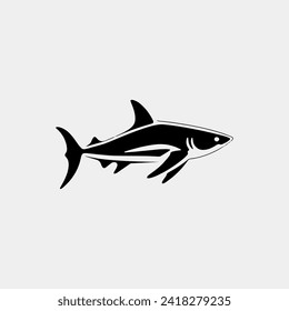 a shark with a long tail and a sharp sharp fin