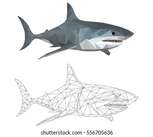 SHARK LOW POLY POLYGONAL, TRIANGLE , Predatory fish on white background, business concept, vector image. 