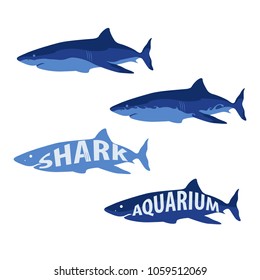 Shark Marine Life Aquarium Vector and Icon for App and Website