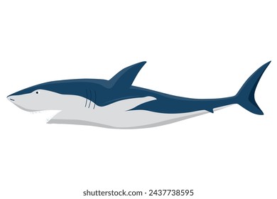 Shark. Marine predator fish character. Underwater wildlife or ocean animal. Cartoon flat isolated icon on white background. Vector illustration