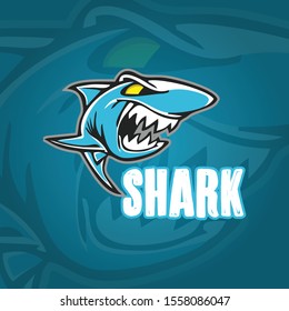 shark mascot logo design vector