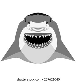 Shark mascot sport symbol. Vector Illustration isolated on white background