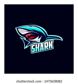shark mascot team concept logo