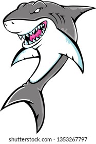 SHARK MASCOT VECTOR