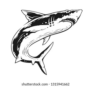 Shark in motion. Black and White Contrast Vector Art. 