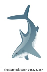Shark with mouth closed giant apex predator cartoon animal design flat vector illustration isolated on white background
