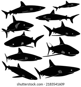 shark movements vector shihouette collection