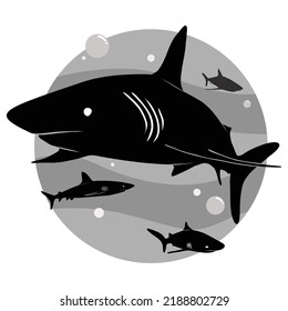 shark movements vector shihouette collection