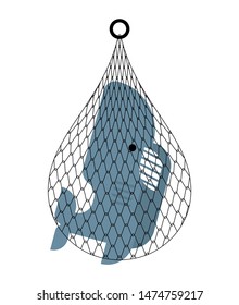 shark in net. Sea predator catch. vector illustration