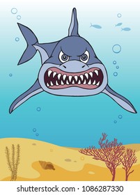 Shark in the ocean.