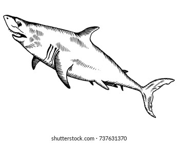 Shark Sketch Vector Graphics Monochrome Blackandwhite Stock Vector ...