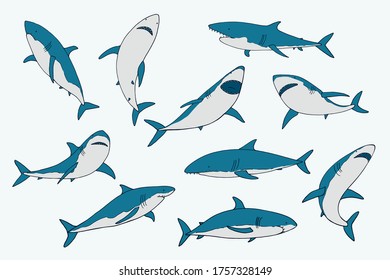 Shark ocean animal hand drawn vector illusrations set