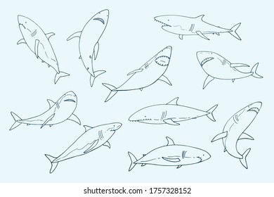 Shark ocean animal hand drawn vector illusrations line set