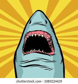 Shark ocean predator. Marine fish and water parks. Comic cartoon pop art retro vector illustration drawing