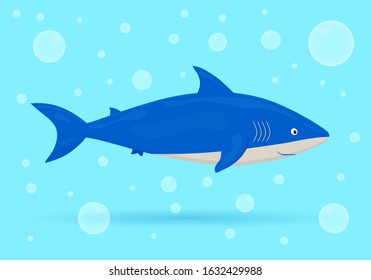 Shark on blue background with bubbles. Ocean fish. Underwater marine wild life. Vector illustration.
