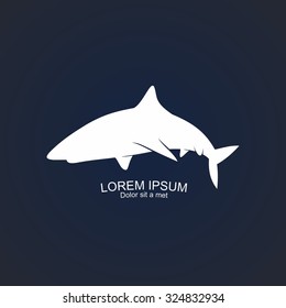 Shark on a blue background. Vector Illustration