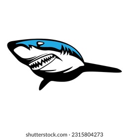 The Shark On The Blue Ocean