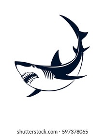 A shark on a white background. Vector illustration