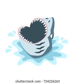 shark with open mouth