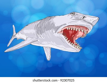 Shark Open Mouth Against Background Blue Stock Vector (Royalty Free ...