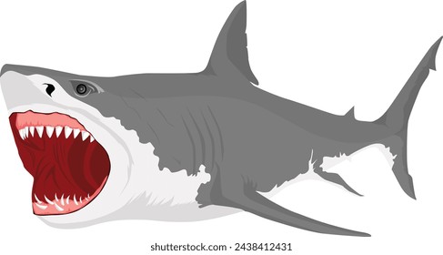 Shark with open mouth illustration vector