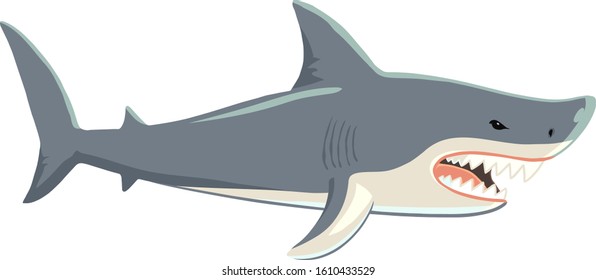 Shark with open mouth and sharp teeth. Vector illustration on white background.