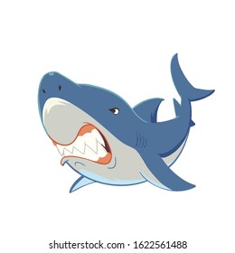 Shark with open mouth and sharp teeth. Vector illustration on white background.