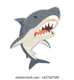 Shark with open mouth and sharp teeth. Vector illustration on white background.