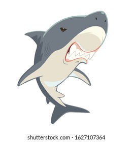 Shark with open mouth and sharp teeth. Vector illustration on white background.
