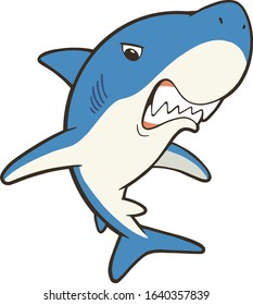 Shark with open mouth and sharp teeth. Vector illustration on white background.