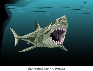 A shark with an open mouth swims under the reefs, against a dark background