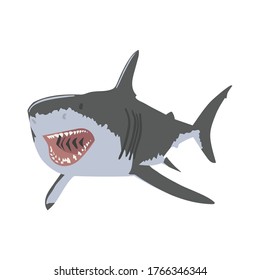Shark open mouth vector illustration. 