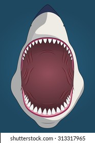Shark with the open mouth.Vector.